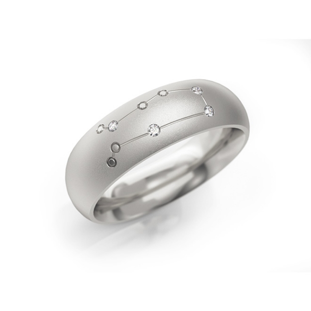 Bild von Zodiac-Ring "Zwillinge"_605 W