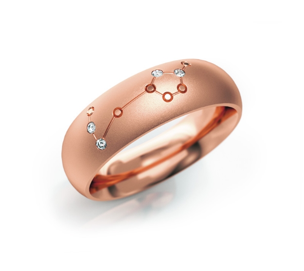 Bild von Zodiac-Ring "Fische"_602 R